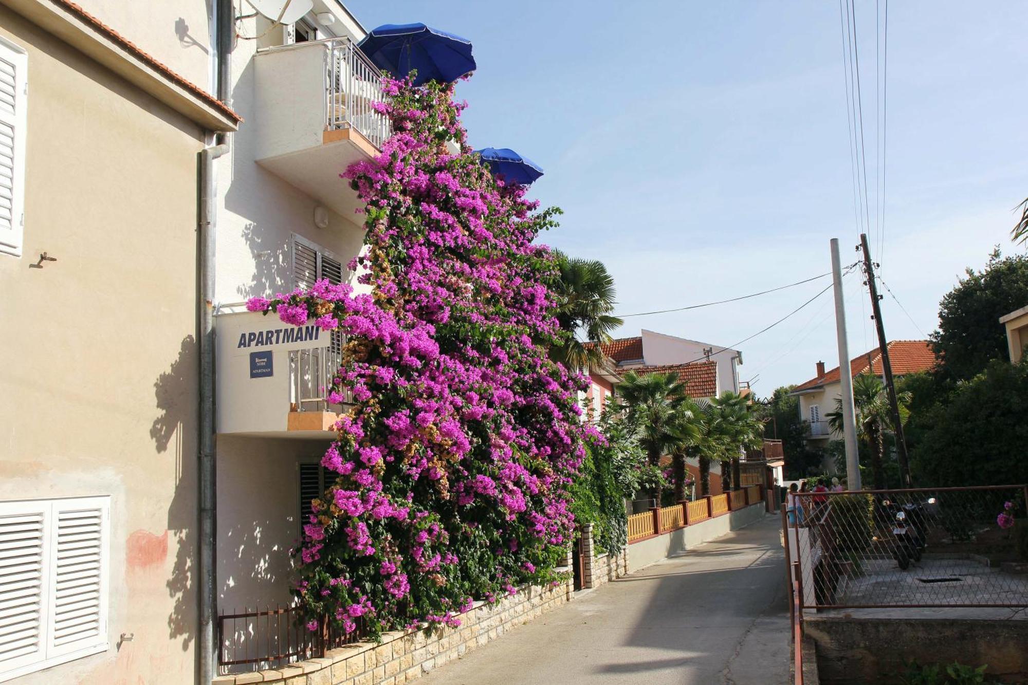 Apartments J&R Babara Biograd Na Moru Pokoj fotografie